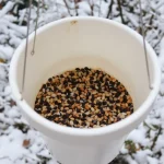 Arrêtez de jeter ce petit pot en plastique : il devient la mangeoire préférée des oiseaux cet hiver