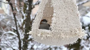 “Les oiseaux vont vous dire merci !” : ce DIY à faire en 10 secondes va leur être d’un précieux secours cet hiver