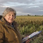 Pour sauver un oiseau menacé, la justice bloque des éoliennes géantes de 230 m dans la Vienne