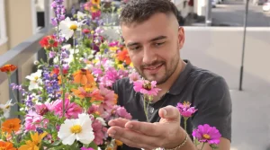 Ces 7 fleurs à planter avant fin mars vont transformer jardin et balcon en refuge incontournable pour les pollinisateurs