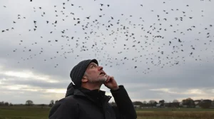 Migration printanière : grues cendrées et cigognes blanches font enfin leur retour chez nous