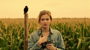 Selon une étude, il y a de moins en moins d’oiseaux dans le ciel de l’Amérique du Nord